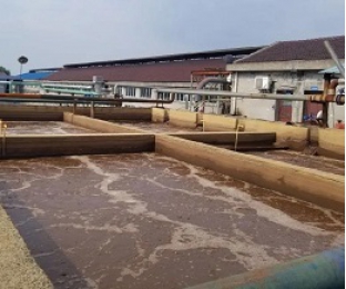 出水氨氮大于進水氨氮，怎么回事？