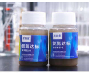 生化系統(tǒng)崩潰，氨氮超標(biāo)，我該怎么辦?