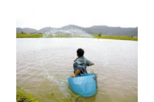 水產養(yǎng)殖也需要投加碳源