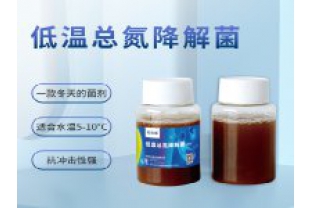 反硝化細(xì)菌在污水處理中的具體應(yīng)用是什么？