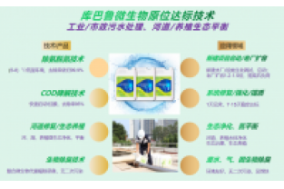 什么是氨氮激活菌，有什么作用